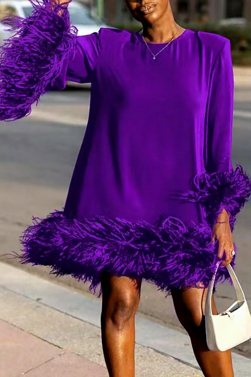 Feathered Asymmetrical Mini Dress